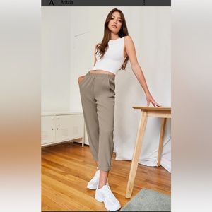 COPY - Aritzia babaton taupe Dexter pants